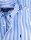 Buttondown Stripe Shirt Blue