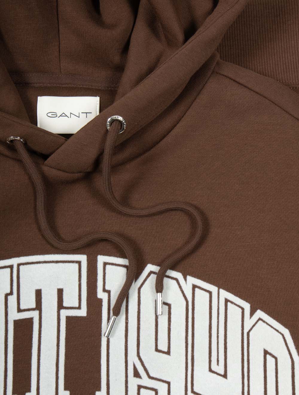 Graphic Hoodie Mahogany Brown