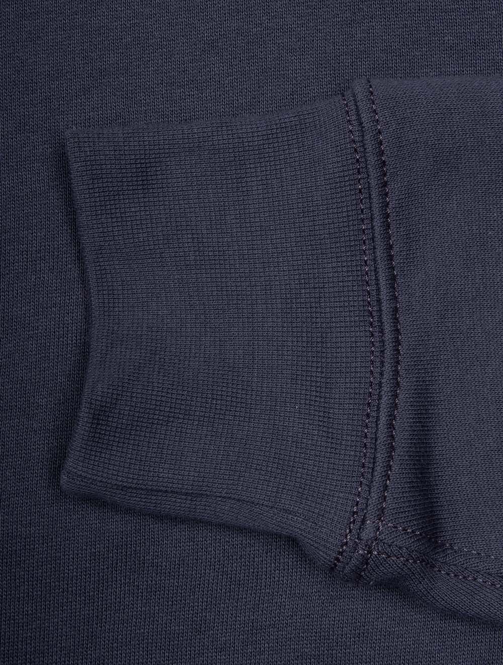 Polo Bear Fleece Pullover Blue