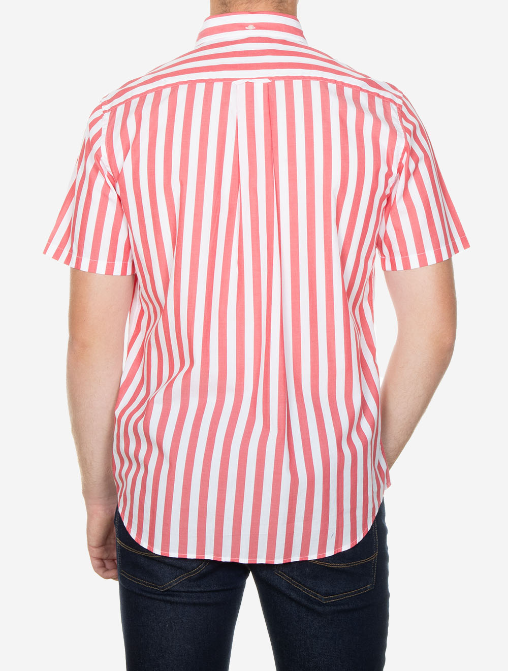 Regular Fit Striped Classic Poplin Short Sleeve Shirt Watermelon Red