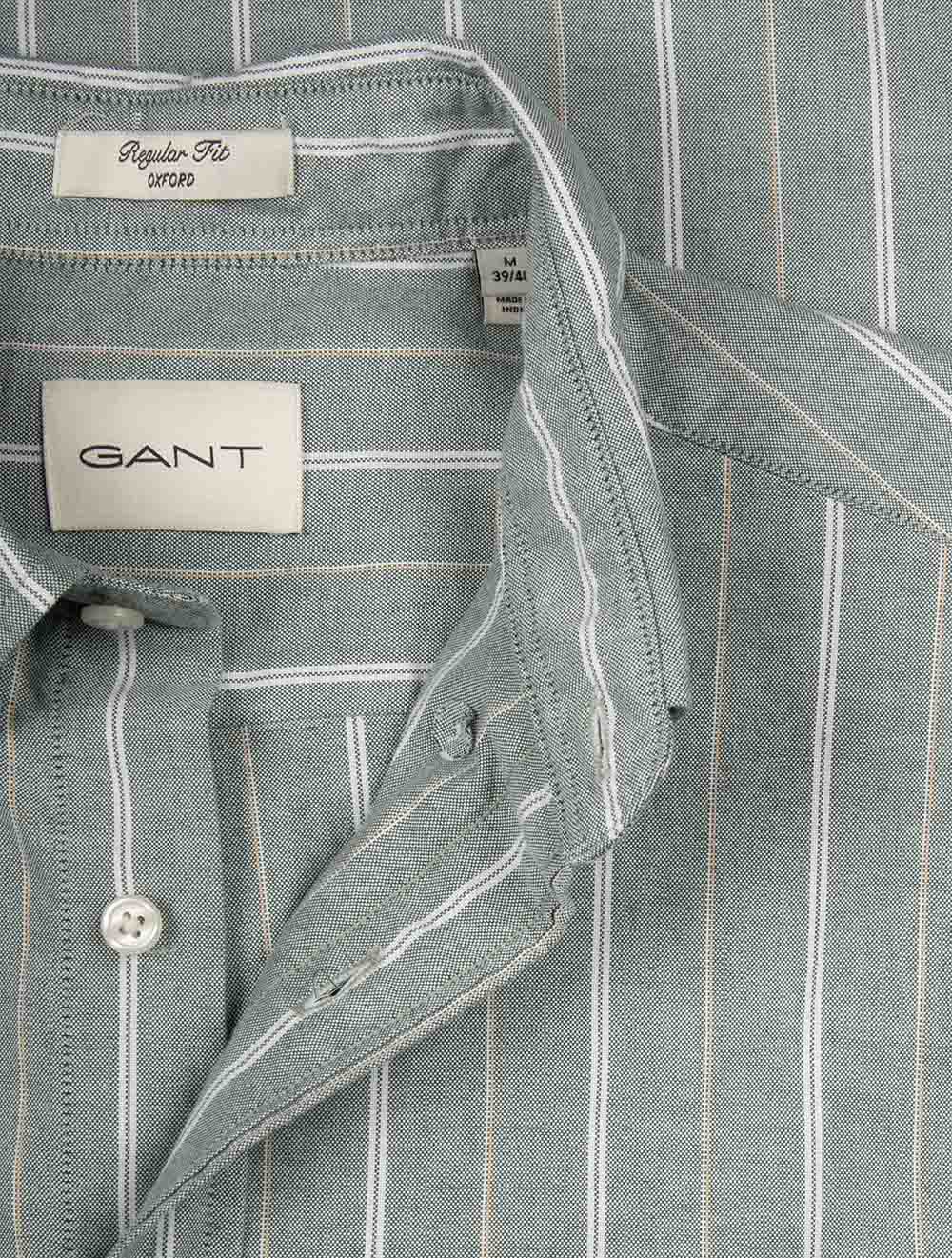Regular Fit Striped Classic Oxford Shirt Forest Green