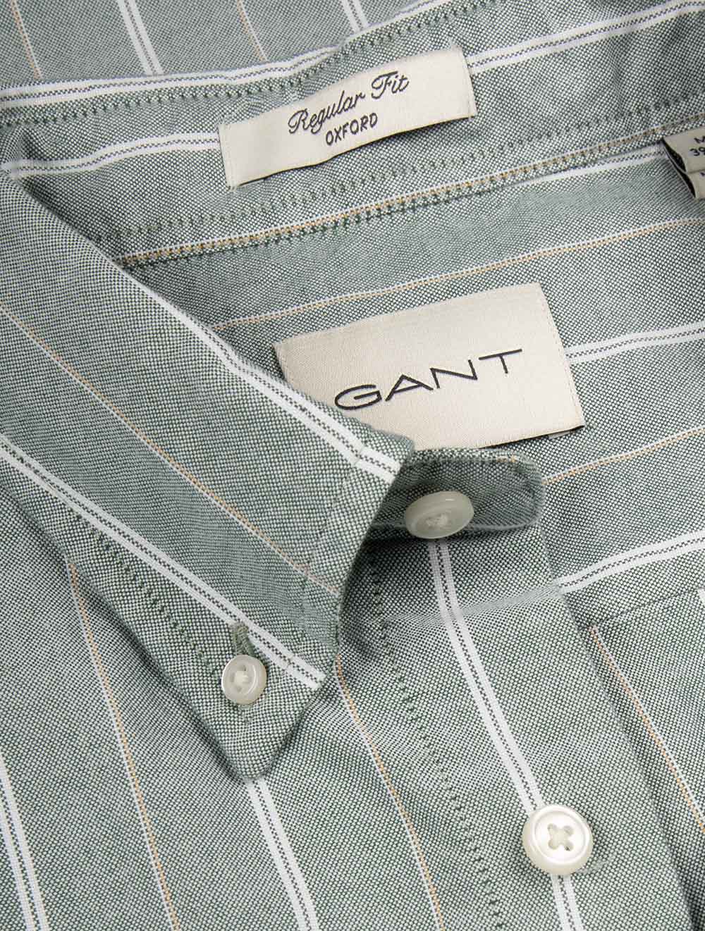 Regular Fit Striped Classic Oxford Shirt Forest Green