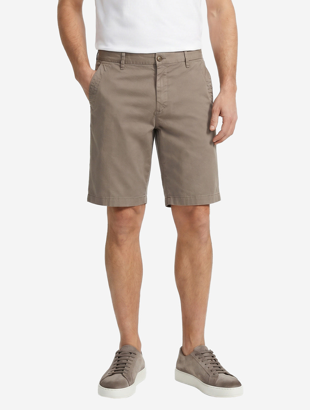 PT01636 BROWN 511 E329 Canali Shorts — PT01636 BROWN 511 E329 Canali Shorts2.jpg