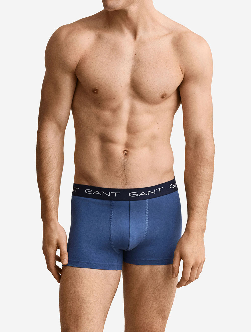 Trunk 3-Pack Vintage Blue