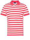 Multi Stripe Short Sleeve Pique Magenta Pink