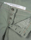 Icon Daily Comfort Jean Sage 345